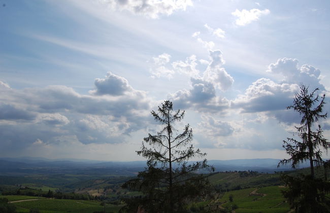 Mariani Bed & Breakfast - Foto 24