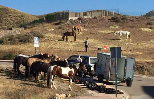 Apartamento encantador - Foto 42
