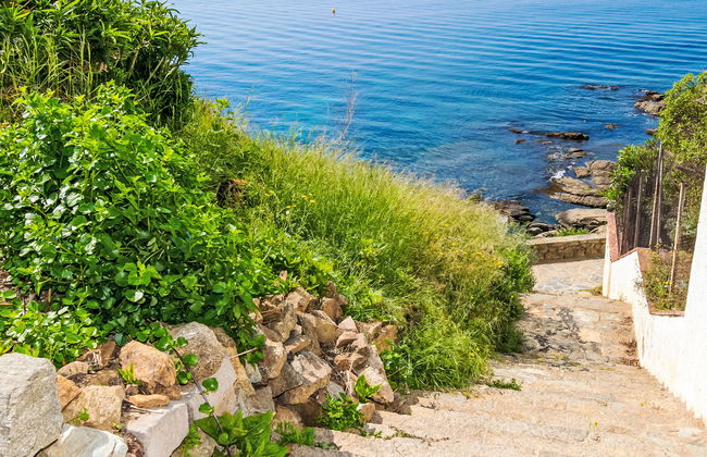 Meda Chica - Photo 25