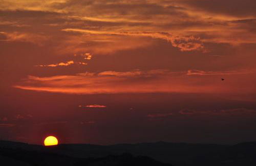 Masseria Straziuso - La Vaccariccia - Foto 27