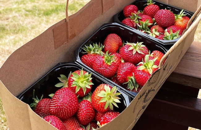 8 Person Holiday Home in Valldal - Photo 25