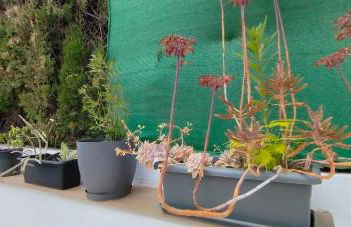 Casa Robles, casa con piscina y barbacoa - Photo 31