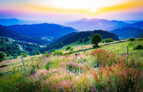 GÎTE **** L'ATELIER DU TONNELIER - Foto 33