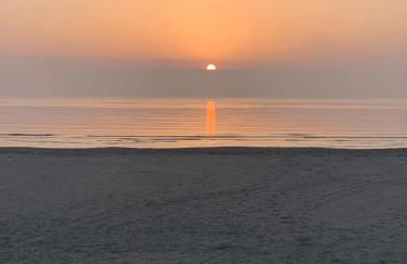 Downtown San Lorenzo - Foto 22