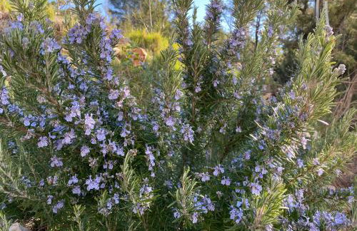 Villa Sun&Sea - Foto 32