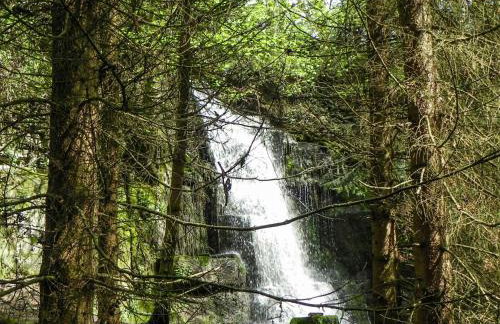 Brookfields - Photo 22