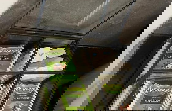 Marble Times - Photo 9