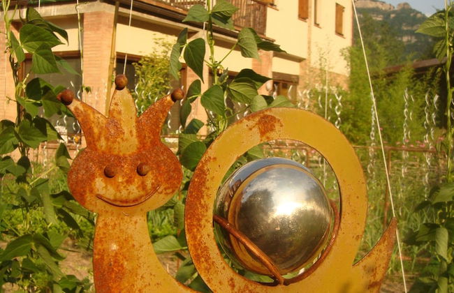 Moli del Caso - Photo 13