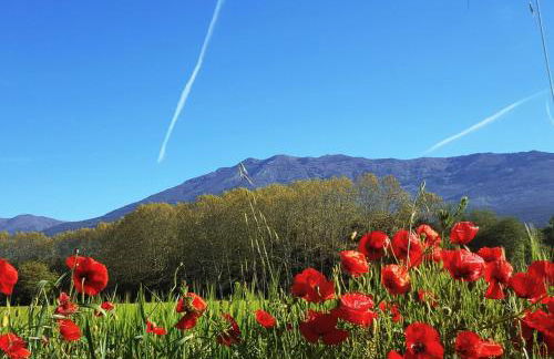 HomeHolidaysRentals Confort - Foto 23