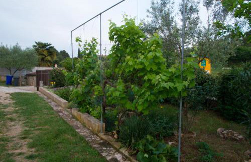 Apartman Garma - Photo 31