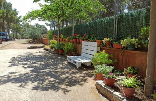 Casilla del Pinar - Foto 11