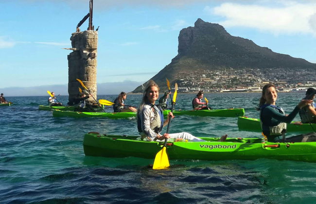 Tour en kayak por Ciudad del Cabo - Foto 7