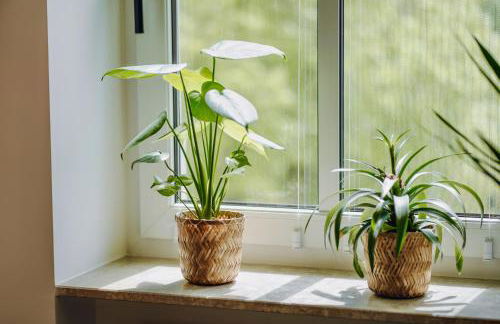 EDLER WOHNRAUM Luxuriöse 2 SZ mit Balkon, Kaffeevollautomat, Klima & Lift - Foto 11