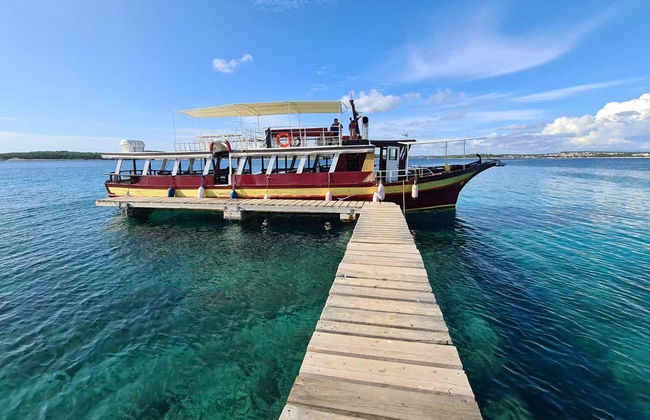 Avistamento de golfinhos ao entardecer - Foto 5