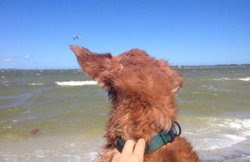 Casa Lagoa Lugar perfeito para descansar - Photo 46