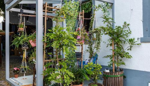 Ferienappartments Nähe Schweiz - Foto 3