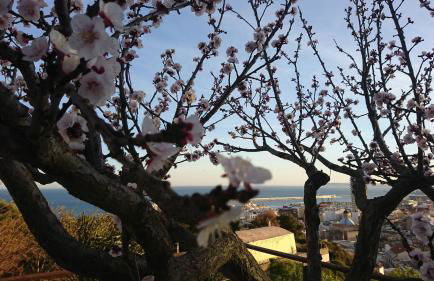 Cerca playa-AA-Patio privado - Photo 45