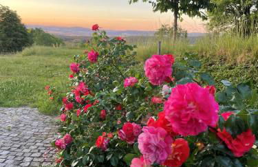 Panorama-Domizil Tauchershof - Foto 21