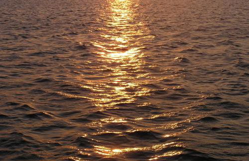 Peeneurlaub - Foto 71