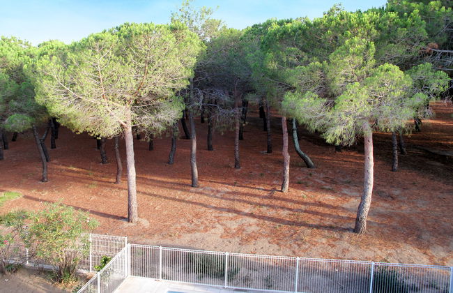 Les Pins Parasols - Foto 16