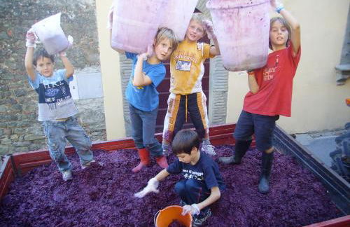 Fattoria Gambaro di Petrognano - Foto 28