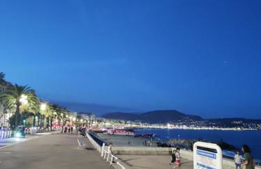 Appartement 3 PIECES NICE Promenade - Foto 27