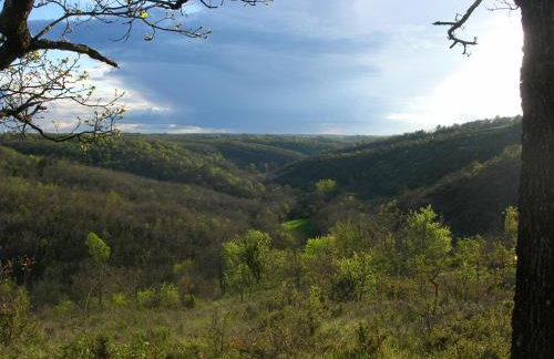 Les Hauts d'Albas - Foto 30