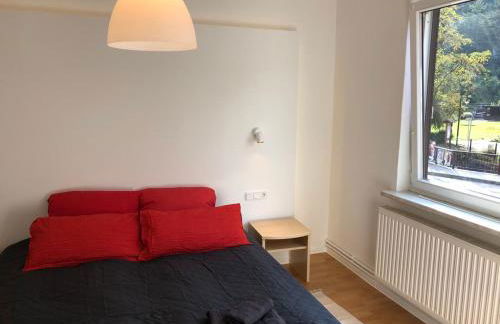 Ferienhaus Art Apartment - Harz - Foto 29