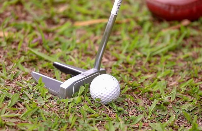 Wild Mahseer - Foto 35