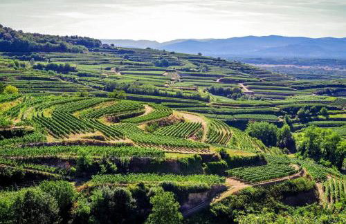 Tiny House am Kaiserstuhl - Foto 8