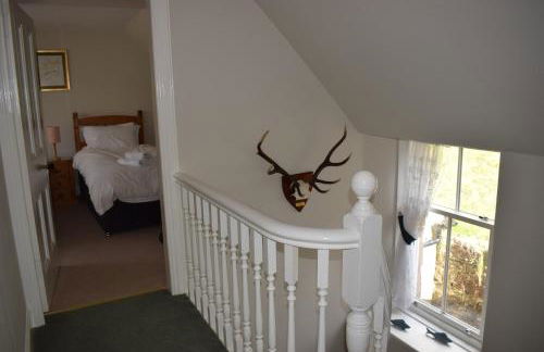 3 St Gilbert Street - Photo 35