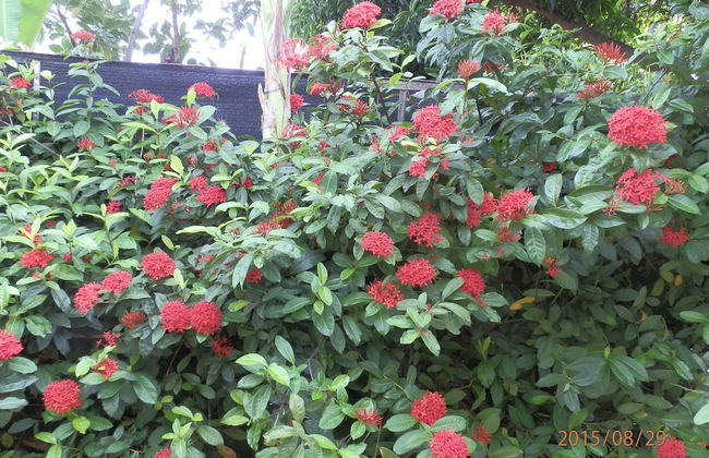 Sandy Serviced Apartment - Foto 59