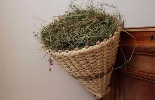 Aussermairhof - Photo 36