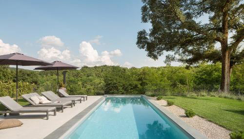 Ulmus - Foto 2, Other