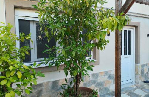 ColoR Living - loft & yard - Foto 50