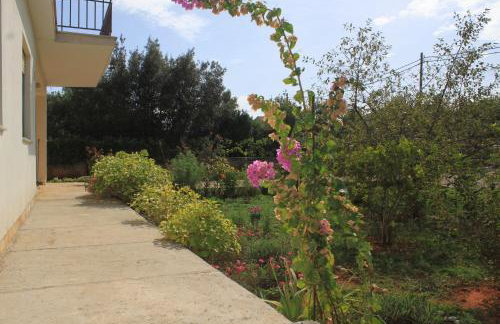 Apartments with parking space Ugljan - 8493 - Foto 8