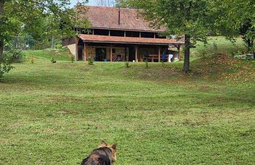 Šumski san - Foto 11