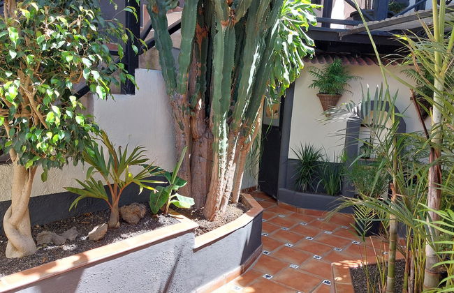 Apartamentos Monasterio de San Antonio - adults only - Photo 52