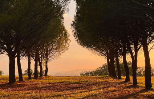 La Casa dell'Abate di Collepino - Spello - Foto 73