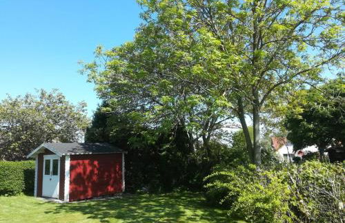 Strandläufer - Photo 16