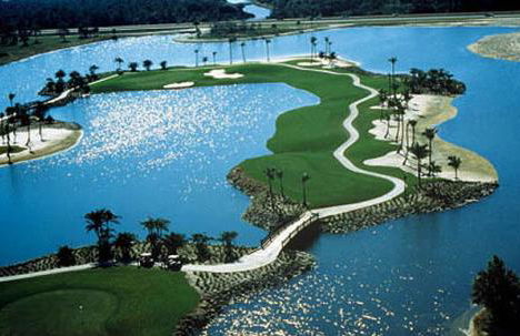 GreenLinks Golf View Villa Mustang at Lely Resort - Foto 5