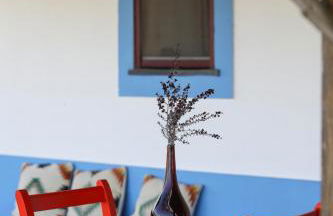 Quinta da Tapada de São Pedro - Foto 49