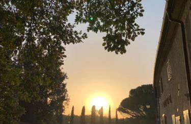 Podere il Giurato - Foto 21