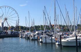 Bücherträume - Foto 19