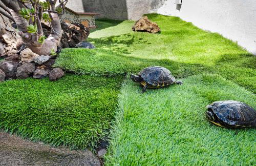 Casa Evarista - Foto 28