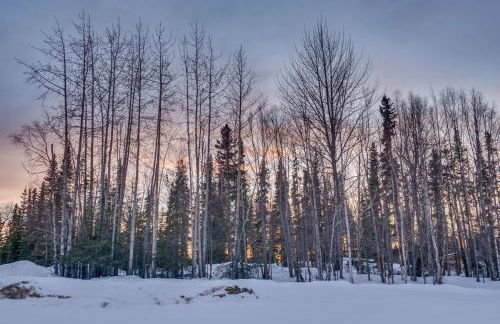 Cozy Soldotna Vacation Rental Near Kenai River! - Foto 21