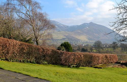 The Tottsie - Foto 15