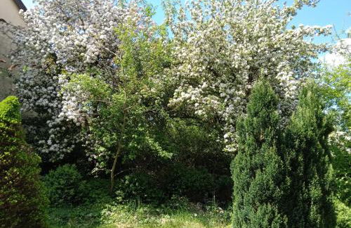 Vakantie boerderij De Boerenzwaluw - Foto 41