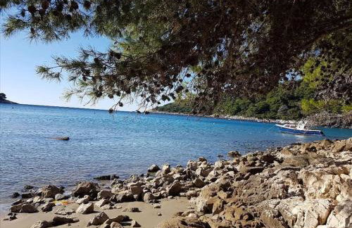 Apartment Kristić - Saplunara, Mljet - Photo 17