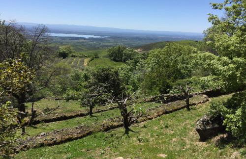 Abejas 1 de El Vergel de Chilla - Foto 36